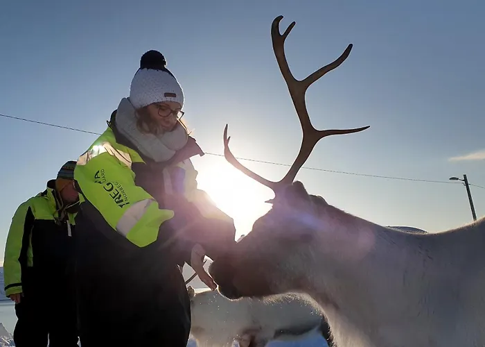 Mikkelvik Brygge Mikkelvika