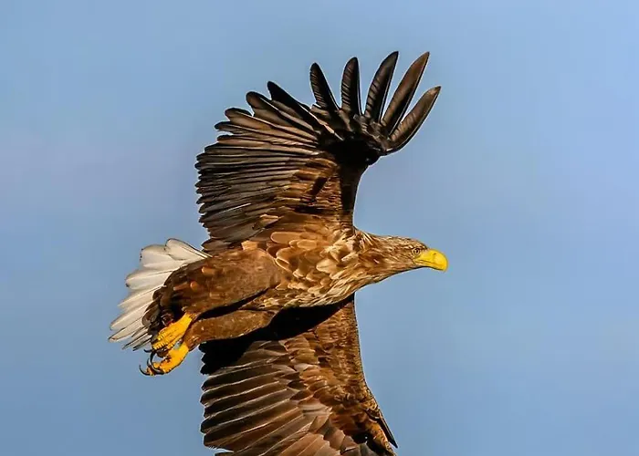 Mikkelvik Brygge Ferienhaus Mikkelvika