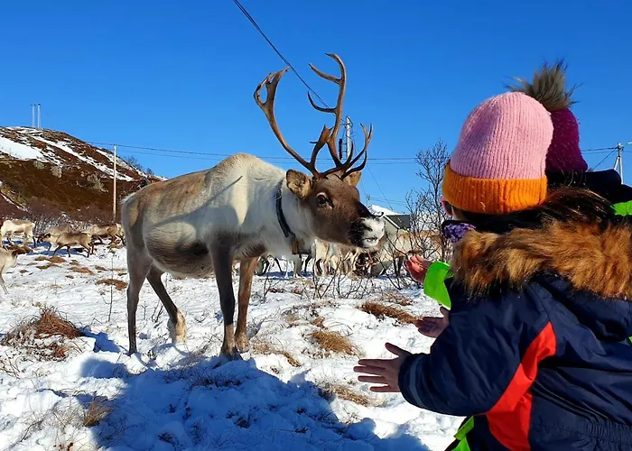 Ferienhaus Mikkelvik Brygge Mikkelvika