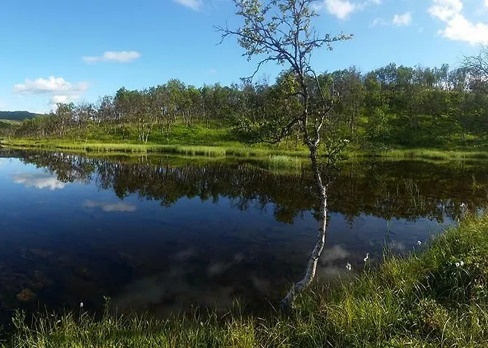 Ferienhaus Mikkelvik Brygge Mikkelvika